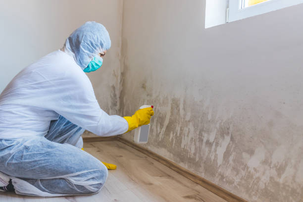 Licensed Commercial Mold Remediation service in Unionville, NC - WQB Mold Removal