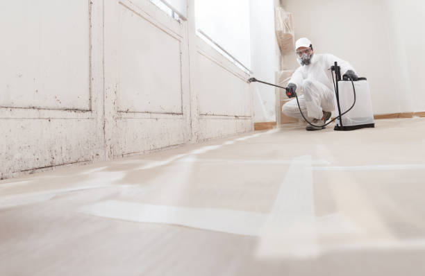 Trusted Commercial Mold Remediation service in Unionville, NC - WQB Mold Removal