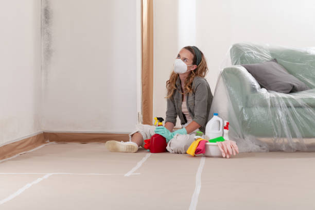 Reliable Commercial Mold Remediation contractor in Unionville, NC by WQB Mold Removal